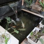 8 Trik Seru Bikin Kolam Mini di Taman Kecil