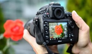 Kamera untuk Pemula: Rekomendasi Terbaik untuk Fotografer